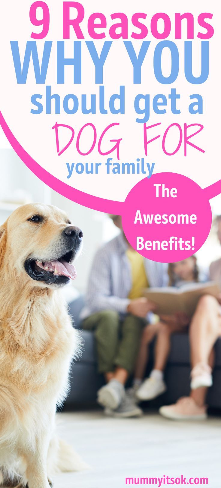 Reasons Dogs Are Great Pets
