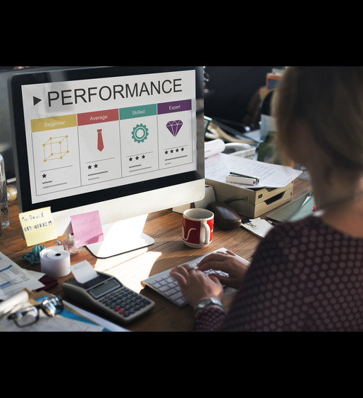 development performance self improvement ratings icon 1