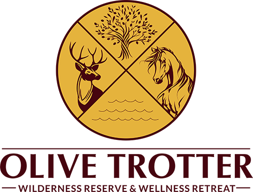 logo 7