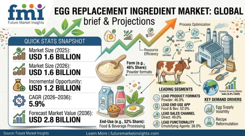 Egg Replacement Ingredient Market