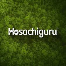 hosachiguru 1