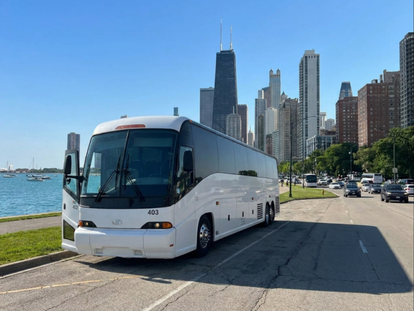 royal chi buses