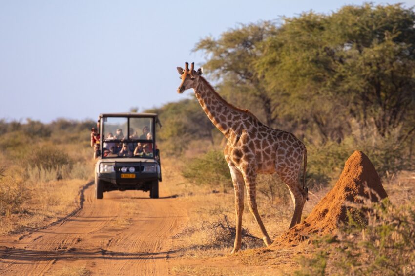 kenia