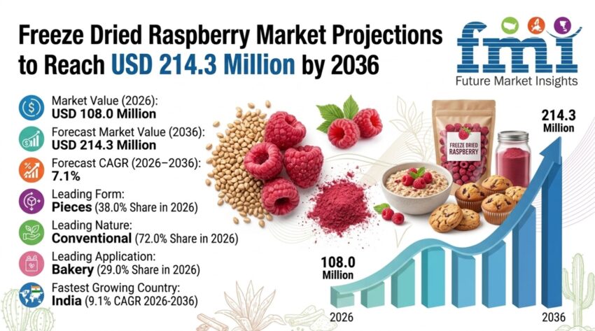 Freeze dried Rasberry Market