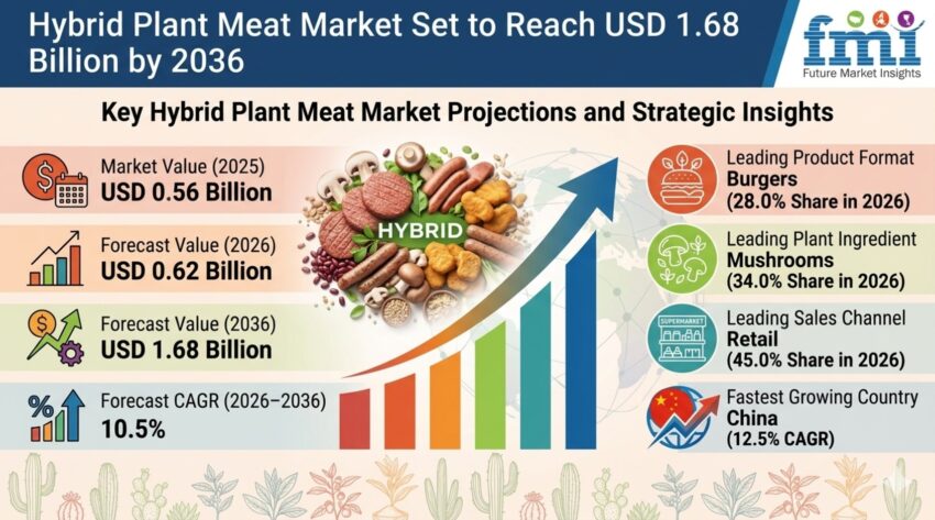 Hybrid Plant Meat Market