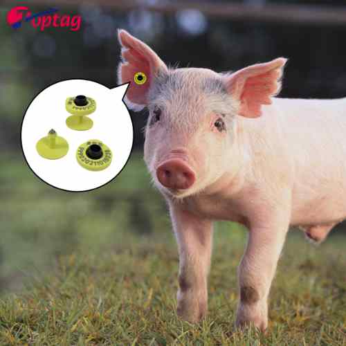 Application Image 2 2