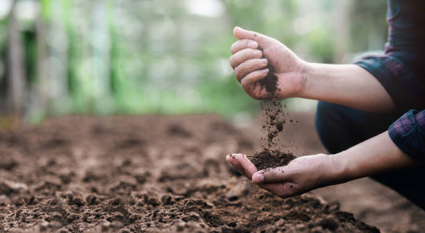 Soil Treatment 1