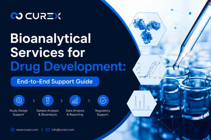 Bioanalytical Services for Drug Development End to End Support Guide