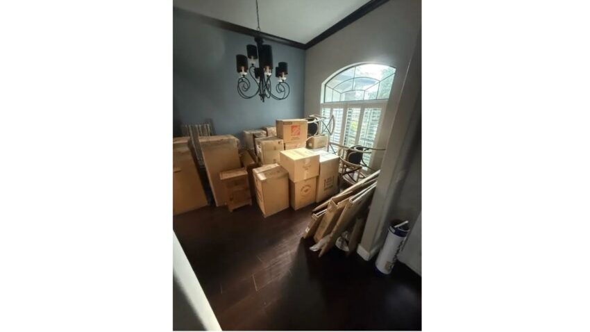 Blog 1 Tidy Timbers 2026 07 09T144918.035