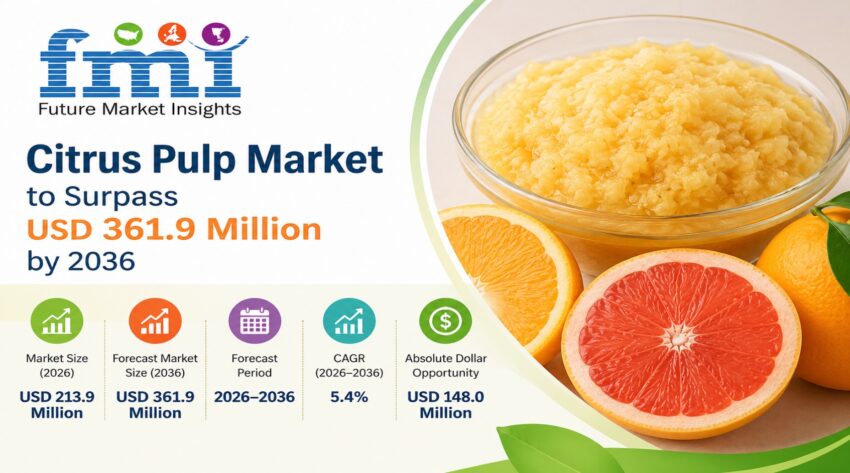 Citrus Pulp Market