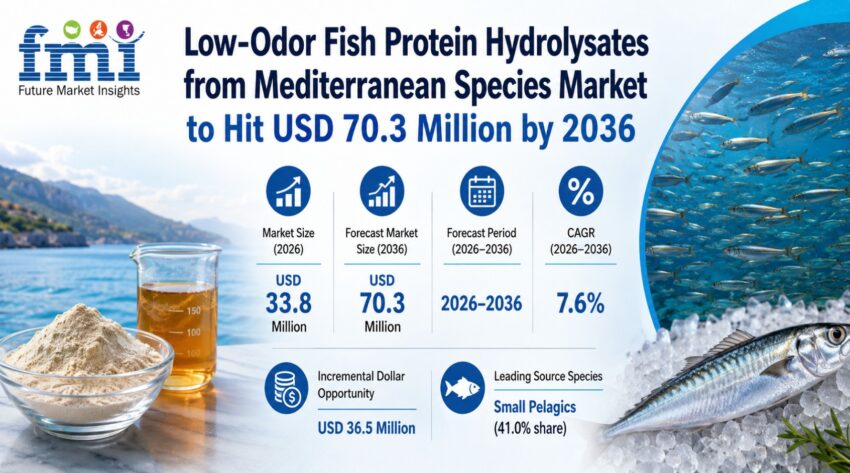 Low Odor Fish Protein Hydrolysates from Mediterranean Species Market