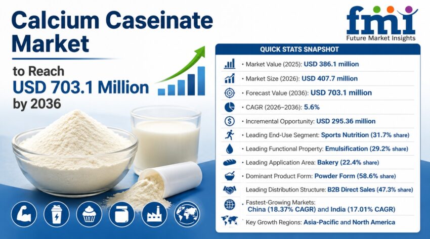 Calcium Caseinate Market