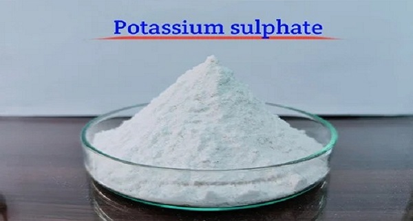 Potassium Sulfate Price Trend