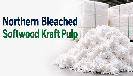 Northern Bleached Softwood Kraft Pulp price trend