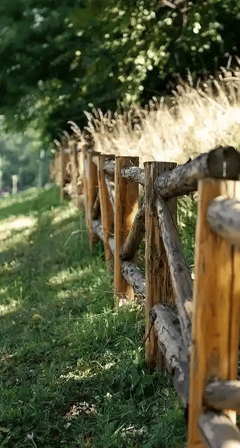 split rail fence landscape ideas 2
