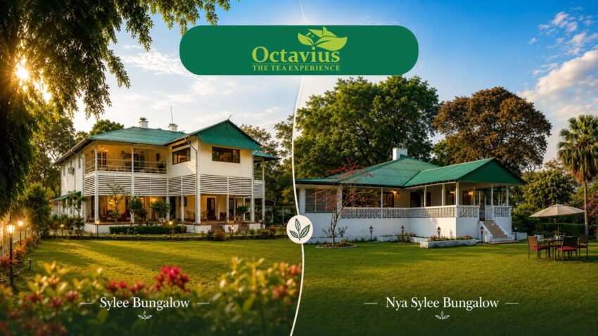 Two Heritage Stays
