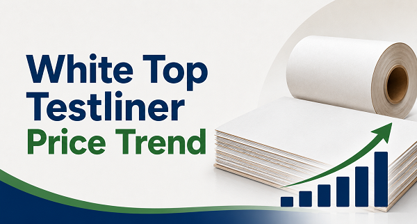 White Top Testliner Price Trend