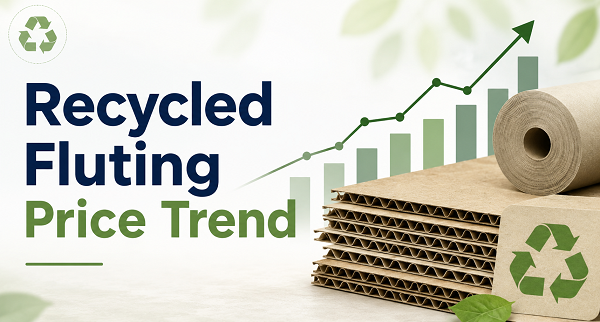 Recycled Fluting Price Trend