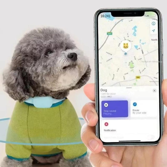 PetPath Positioning Collar Grey dog with app showing