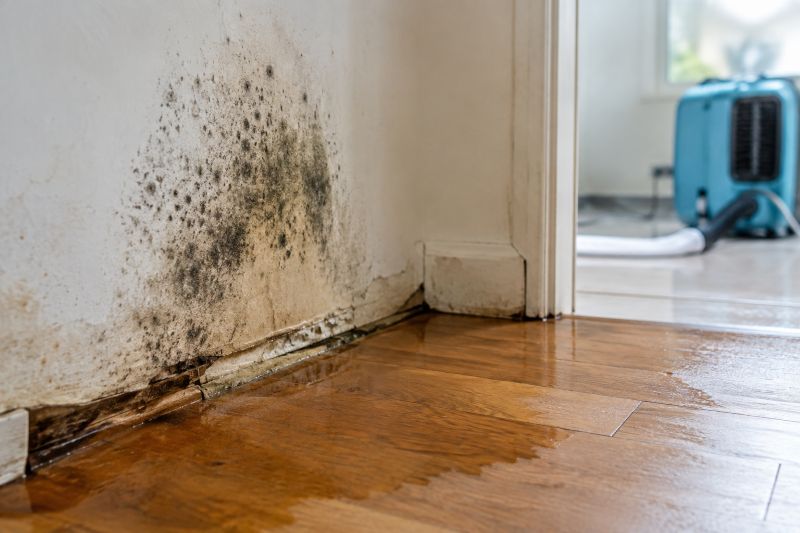 Water Damage and Mold