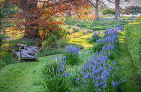 Bespoke Garden Design Suffolk