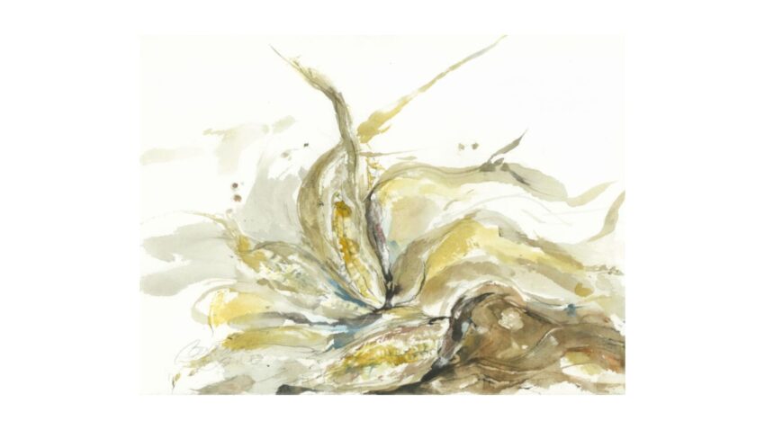 Untitled design 2026 08 06T170559.226