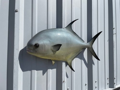 imageye imgi 15 permit 25 hm headview 71433.1743002321