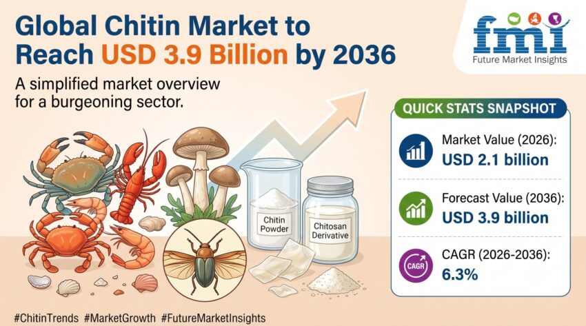 Chitin Market