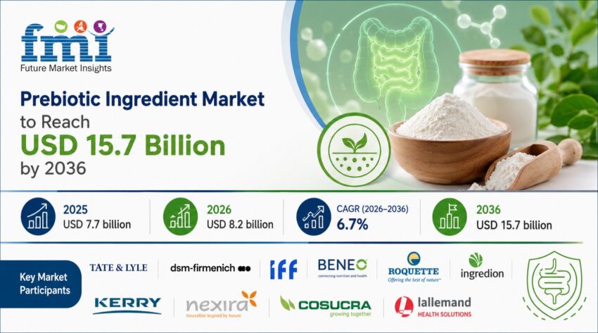 Prebiotic Ingredient Market