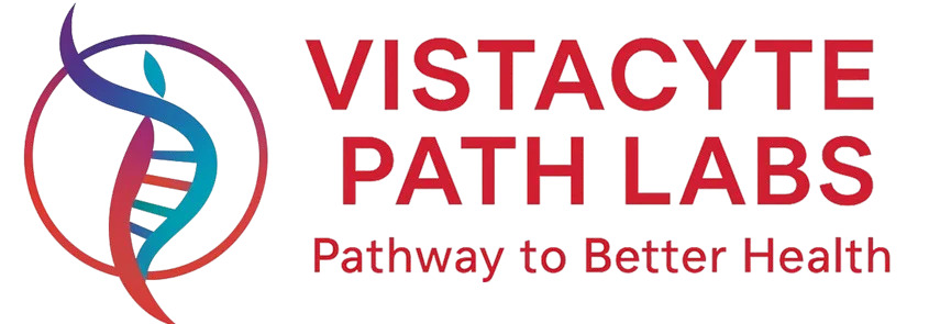 logo vista