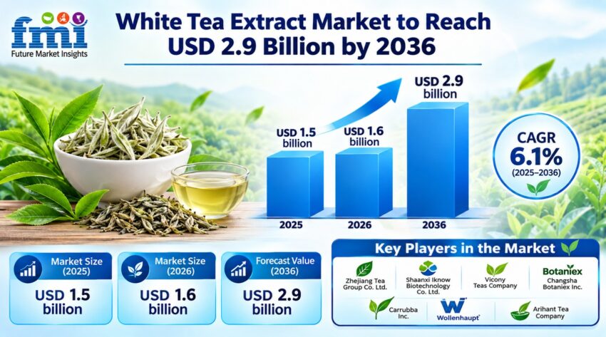 White Tea Extract Market