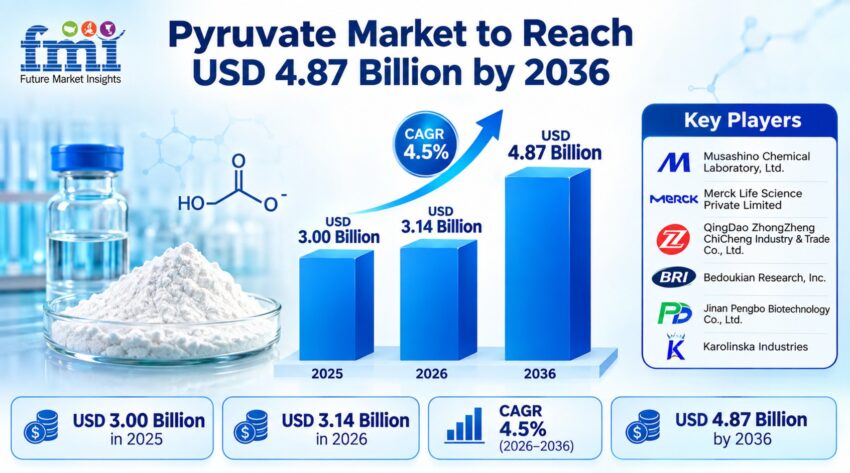 Pyruvate Market