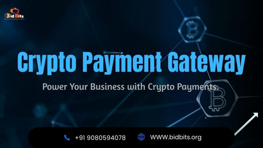 Crypto Payment Gateway BidBits