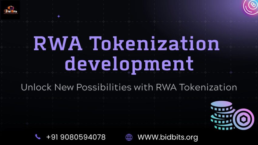 RWA Tokenization development BidBits