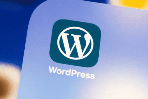5 Best WordPress Hosting Providers in India 2026