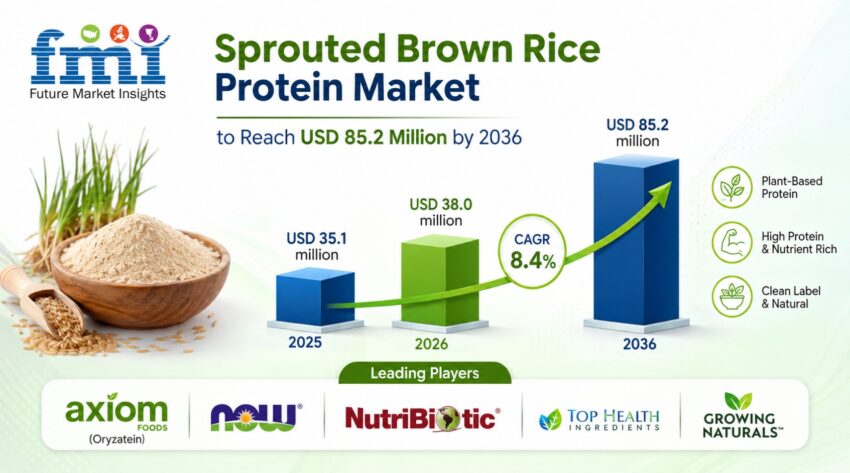 Sprouted Brown Rice Protein Market