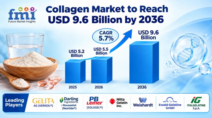 Collagen Market