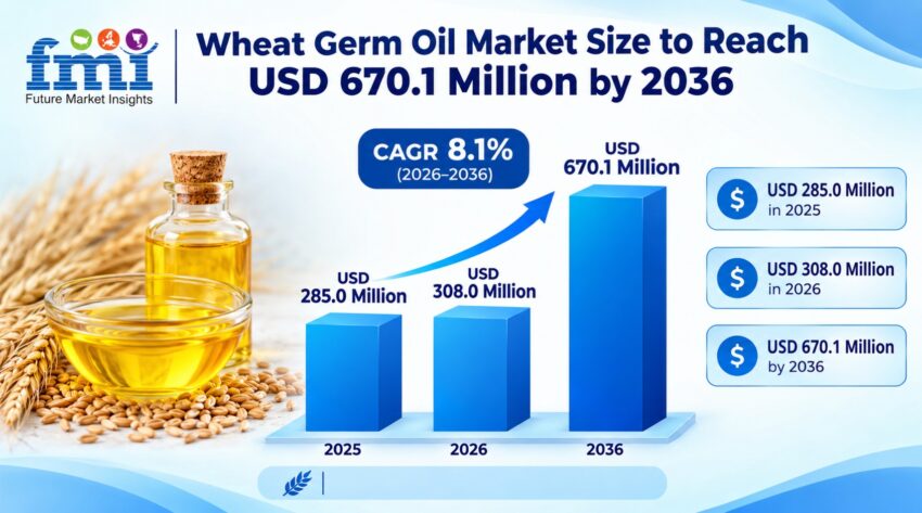 Wheat Germ Oil Market