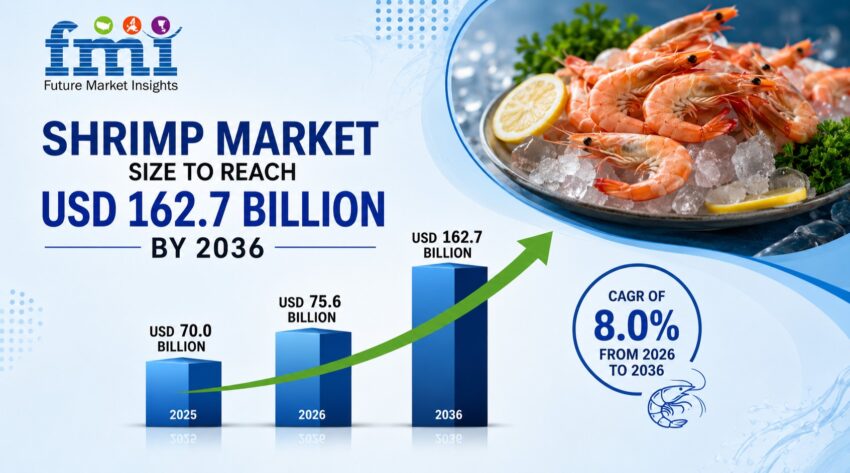 Shrimp Market
