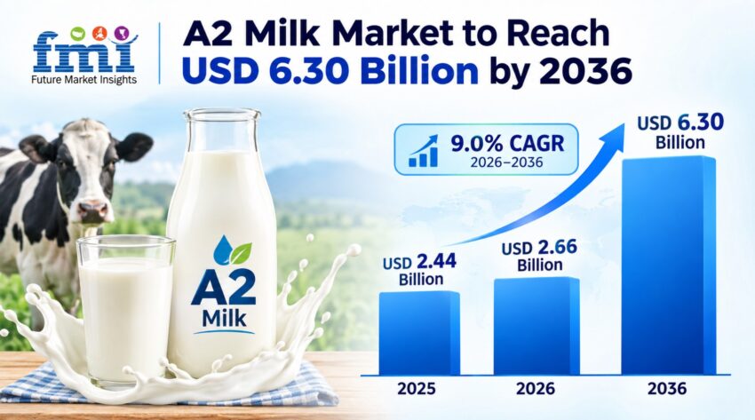 A2 Milk Market