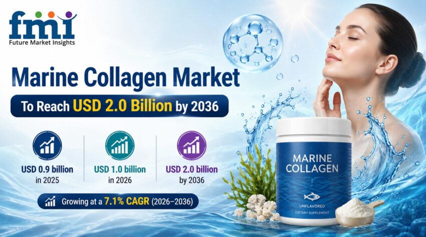 Marine Collagen Market