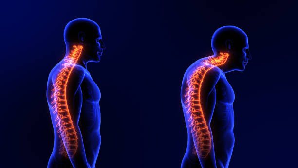 istockphoto 2159443235 612x612 1