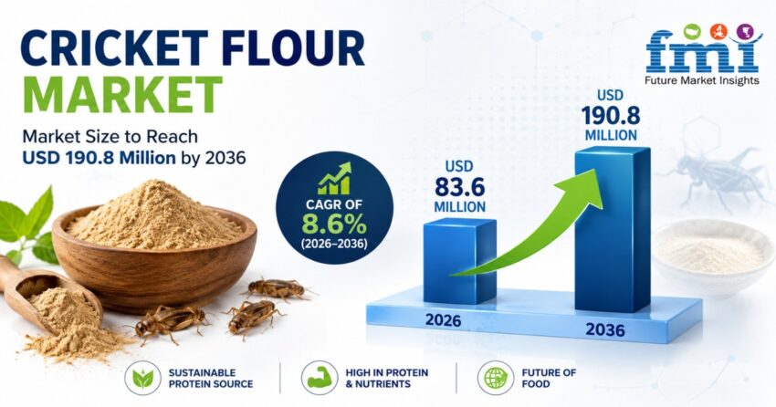 Cricket Flour Market