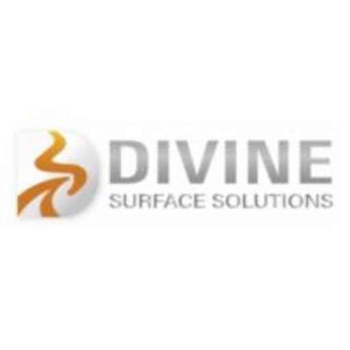 divine surface logo