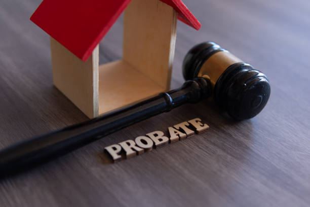 istockphoto 1891071642 612x612 1