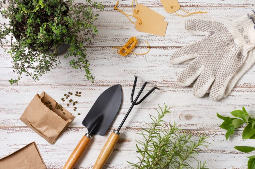 plants gardening tools close up 2 1