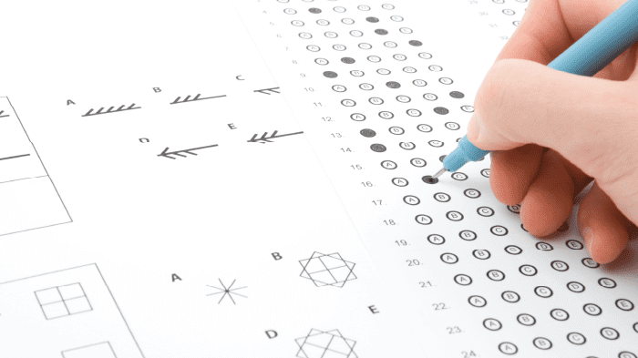 iq test