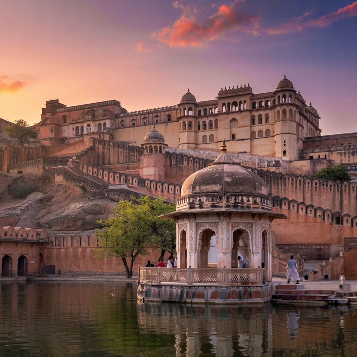 Explore the Best Jaipur Ranthambore Tour Package for Wildlife and Heritage Lovers 1