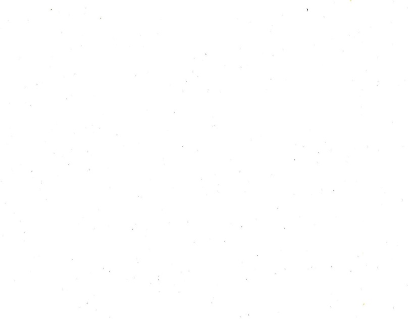 white 3