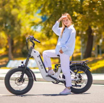 e bike